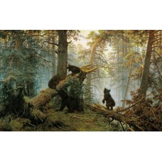 Картина на холсте по фото Модульные картины Печать портретов на холсте Утро в сосновом лесу