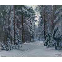 Дорога в зимнем лесу