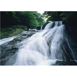Лесной водопад - Фотообои водопады - Модульная картины, Репродукции, Декоративные панно, Декор стен