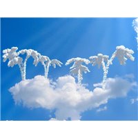 Пальмы из облаков - Фотообои Небо