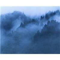 Портреты картины репродукции на заказ - Туман над деревьями - Фотообои природа|деревья и травы