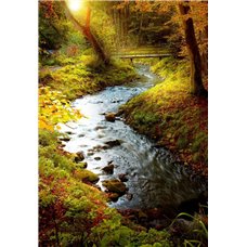 Картина на холсте по фото Модульные картины Печать портретов на холсте Ручей в лесу - Фотообои природа|осень