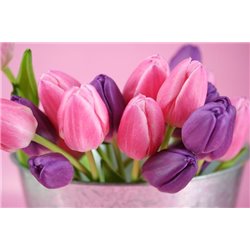Тюльпаны в горшке - Фотообои цветы|тюльпаны - Модульная картины, Репродукции, Декоративные панно, Декор стен