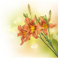 Лилии - Фотообои цветы|лилии - Модульная картины, Репродукции, Декоративные панно, Декор стен