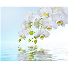 Картина на холсте по фото Модульные картины Печать портретов на холсте Веточка орхидеи - Фотообои цветы|орхидеи