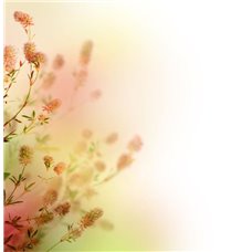 Картина на холсте по фото Модульные картины Печать портретов на холсте Цветущие веточки - Фотообои цветы|цветущие деревья