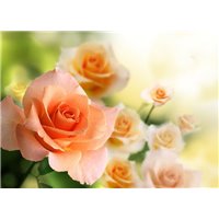 Портреты картины репродукции на заказ - Розы - Фотообои цветы|розы