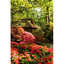 Дом среди деревьев - Фотообои Японские и просто сады - Модульная картины, Репродукции, Декоративные панно, Декор стен