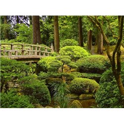 Кусты деревья и мост - Фотообои Японские и просто сады - Модульная картины, Репродукции, Декоративные панно, Декор стен