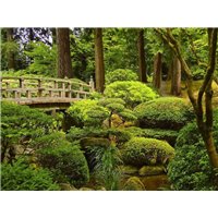Портреты картины репродукции на заказ - Кусты деревья и мост - Фотообои Японские и просто сады