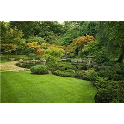 Газон и озеро - Фотообои Японские и просто сады - Модульная картины, Репродукции, Декоративные панно, Декор стен