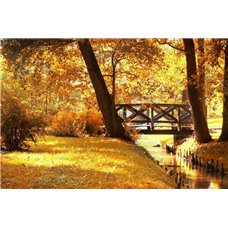 Картина на холсте по фото Модульные картины Печать портретов на холсте Осень - Фотообои природа|осень