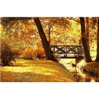 Осень - Фотообои природа|осень