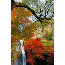 Картина на холсте по фото Модульные картины Печать портретов на холсте Водопад среди деревьев - Фотообои природа