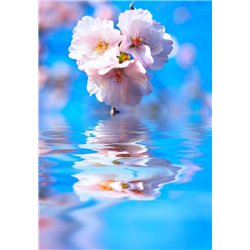 Цветы вишни - Фотообои цветы|цветущие деревья - Модульная картины, Репродукции, Декоративные панно, Декор стен
