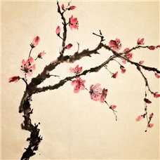 Картина на холсте по фото Модульные картины Печать портретов на холсте Японские цветы - Фотообои Арт