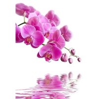 Портреты картины репродукции на заказ - Сиреневая орхидея - Фотообои цветы|орхидеи