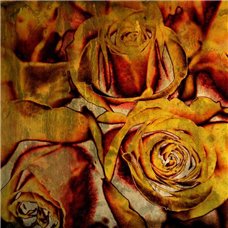 Картина на холсте по фото Модульные картины Печать портретов на холсте Винтажные розы - Фотообои Арт