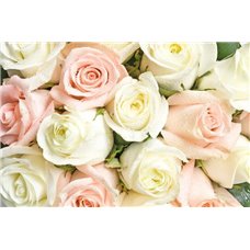 Картина на холсте по фото Модульные картины Печать портретов на холсте Белые и розовые розы - Фотообои цветы|розы