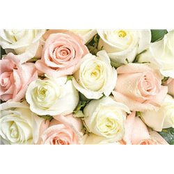 Белые и розовые розы - Фотообои цветы|розы - Модульная картины, Репродукции, Декоративные панно, Декор стен
