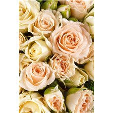 Картина на холсте по фото Модульные картины Печать портретов на холсте Букет розовых роз - Фотообои цветы|орхидеи