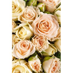 Букет розовых роз - Фотообои цветы|орхидеи - Модульная картины, Репродукции, Декоративные панно, Декор стен
