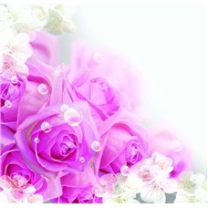 Картина на холсте по фото Модульные картины Печать портретов на холсте Розы и соцветия - Фотообои цветы|розы