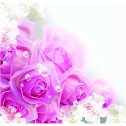 Розы и соцветия - Фотообои цветы|розы - Модульная картины, Репродукции, Декоративные панно, Декор стен