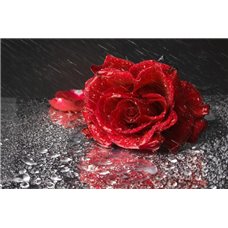 Картина на холсте по фото Модульные картины Печать портретов на холсте Роза под дождем - Фотообои цветы|розы