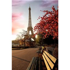 Картина на холсте по фото Модульные картины Печать портретов на холсте Эйфелева башня - Фотообои архитектура|Париж