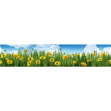 Картина на холсте по фото Модульные картины Печать портретов на холсте Панорама желтых цветов в траве - Фотообои цветы|другие