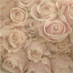 Розы - Фотообои Фоны и текстуры|природа - Модульная картины, Репродукции, Декоративные панно, Декор стен