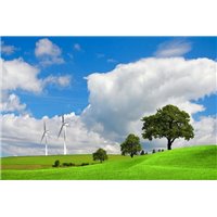 Деревья и ветряки - Фотообои природа|поля