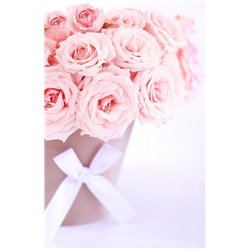 Розы в горшке с бантиком - Фотообои цветы|розы - Модульная картины, Репродукции, Декоративные панно, Декор стен
