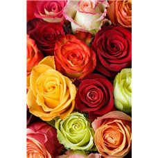 Картина на холсте по фото Модульные картины Печать портретов на холсте Разноцветные розы - Фотообои цветы|розы