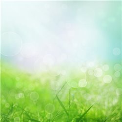 Зеленая трава - Фотообои Небо - Модульная картины, Репродукции, Декоративные панно, Декор стен