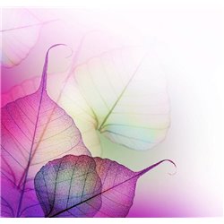 Прозрачные листья - Фотообои цветы|листья - Модульная картины, Репродукции, Декоративные панно, Декор стен