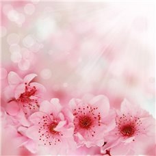 Картина на холсте по фото Модульные картины Печать портретов на холсте Розовые цветы - Фотообои цветы|другие