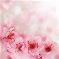Портреты картины репродукции на заказ - Розовые цветы - Фотообои цветы|другие