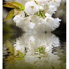 Картина на холсте по фото Модульные картины Печать портретов на холсте Цветение над водой - Фотообои цветы|цветущие деревья
