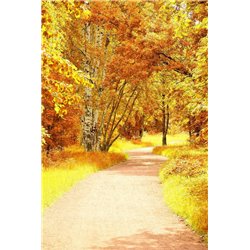 Дорога между деревьями - Фотообои природа|осень - Модульная картины, Репродукции, Декоративные панно, Декор стен