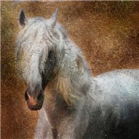 Картина лошади - Фотообои Животные|лошади