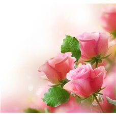 Картина на холсте по фото Модульные картины Печать портретов на холсте Розовые розы - Фотообои цветы|розы