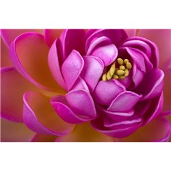Сиреневый цветок - Фотообои цветы|другие - Модульная картины, Репродукции, Декоративные панно, Декор стен