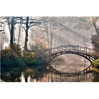Мост над рекой - Фотообои природа|осень