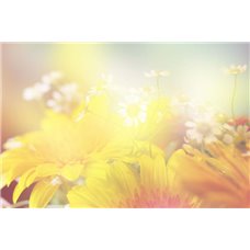 Картина на холсте по фото Модульные картины Печать портретов на холсте Солнечные цветы - Фотообои цветы|полевые