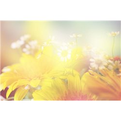 Солнечные цветы - Фотообои цветы|полевые - Модульная картины, Репродукции, Декоративные панно, Декор стен
