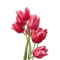 Портреты картины репродукции на заказ - Весенний букет - Фотообои цветы|тюльпаны