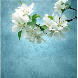 Веточка - Фотообои цветы|цветущие деревья - Модульная картины, Репродукции, Декоративные панно, Декор стен