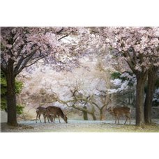 Картина на холсте по фото Модульные картины Печать портретов на холсте Олени в цветущих деревьях - Фотообои Животные